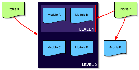 Graph illustrating one possible organization of profiles, modules and levels
