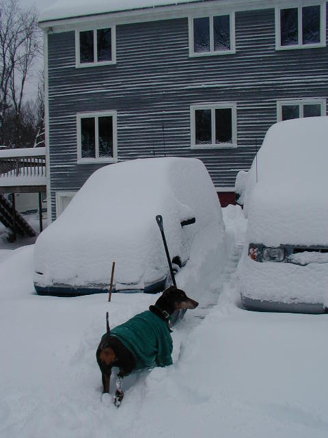 Snow covering minivan