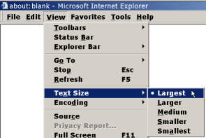 how to make text smaller on internet explorer